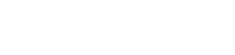 fischer analytics B2B Shop-Logo